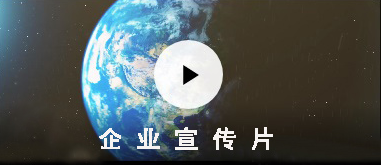 序號